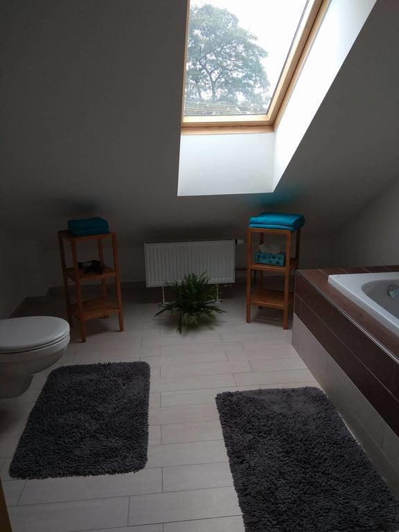 Apartmany Pod Lesem Bohutin  Экстерьер фото